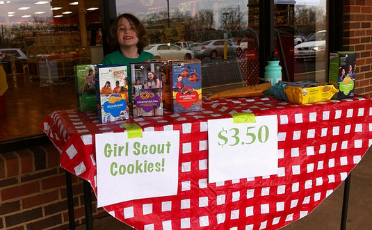 The Business of Girl Scout Cookies