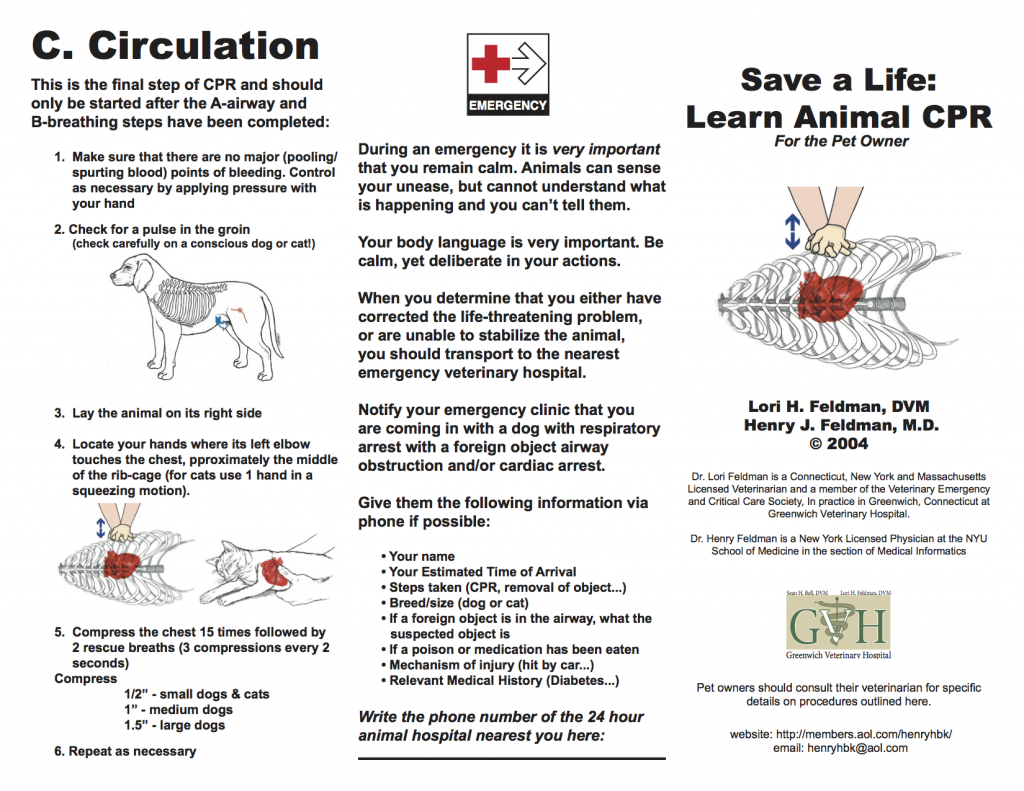 cpr dog pet cat animal training instructions diagrams pets know heimlich maneuver hacks dogs puppy perform owner doggie source care