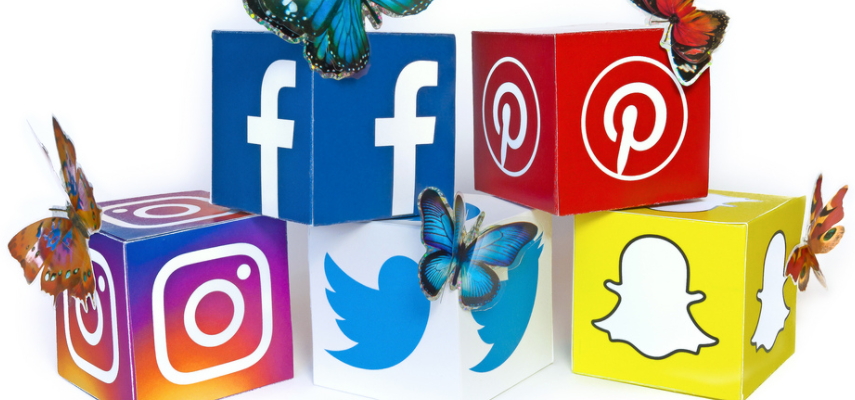 7 Types of Social Media Fans