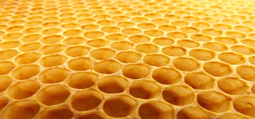 Raw Honey Benefits