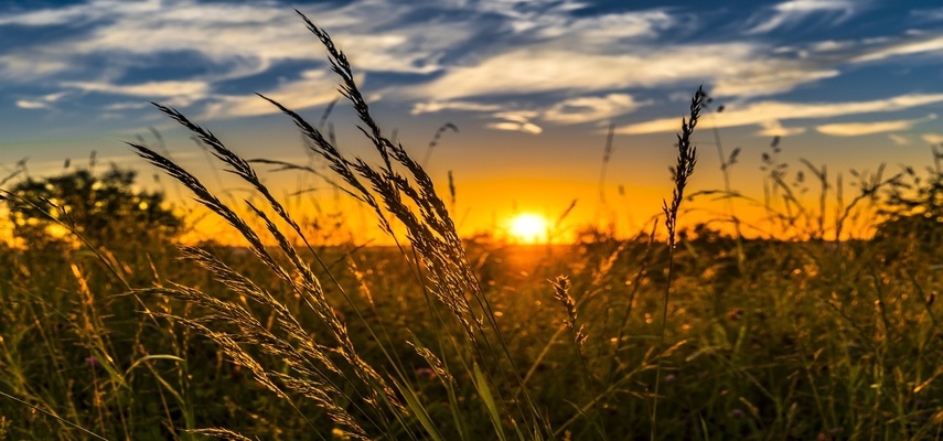 Who Owns The Most Land In The United States?