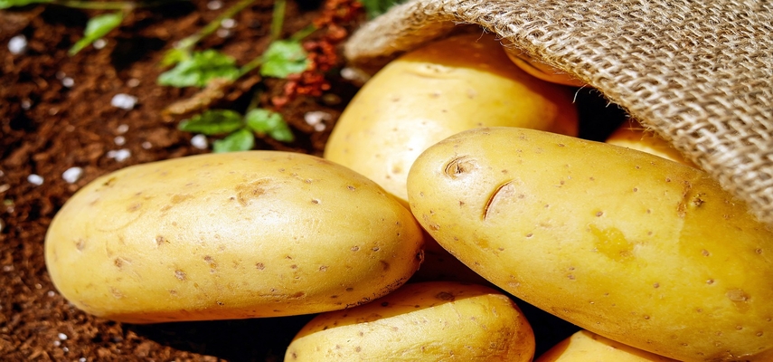 20 Foods To Avoid With Kidney Disease