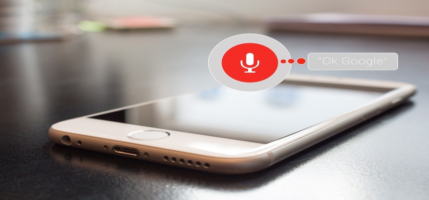 Voice Search Key Insights