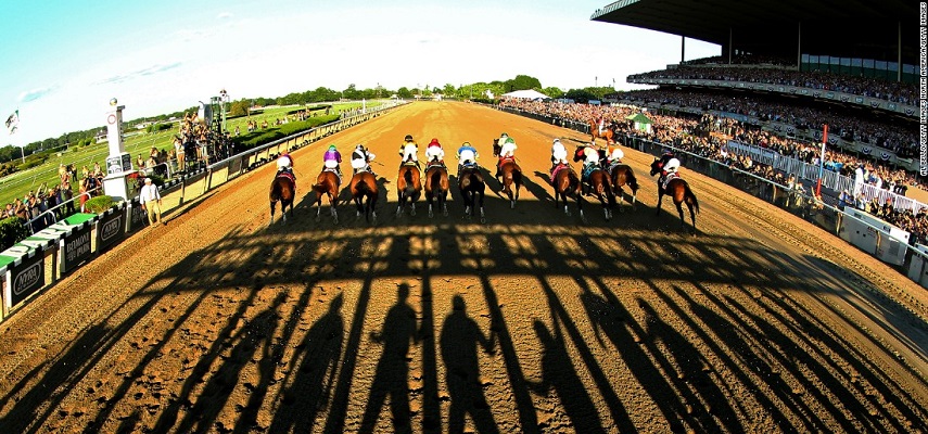 5 Contenders For The Belmont Stakes