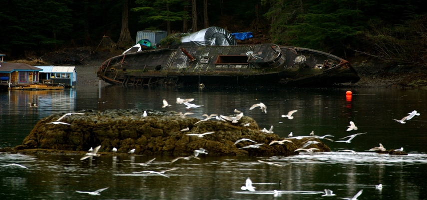 Charted: Tracking The Decline In Oil Spills From Tankers